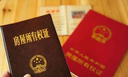 父母|哥嫂来城向我借50万,我提出一要求,却被哥哥打了一耳光