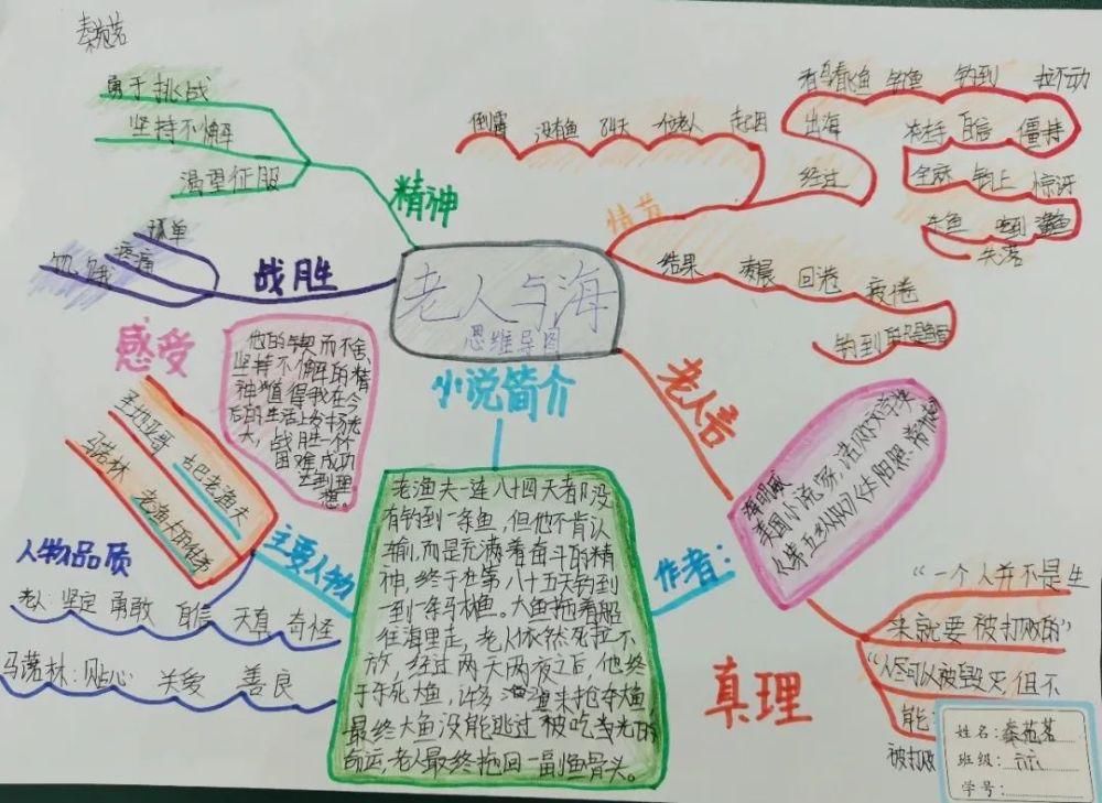 当课外阅读遇上思维导图—惠济区实验小学六年级课外阅读之思维导图展评