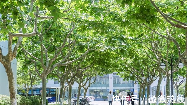 平价 校园“攀比风”盛行,身穿统一平价校服,却踩着天价名牌球鞋!