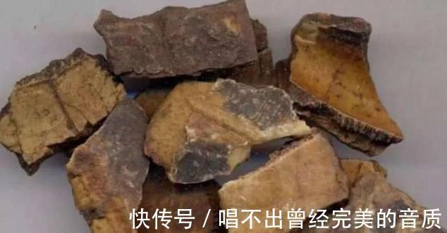 毒性|这副经典中药方为何治疗结节、肿瘤疗效好,因为由4种虫类药组成