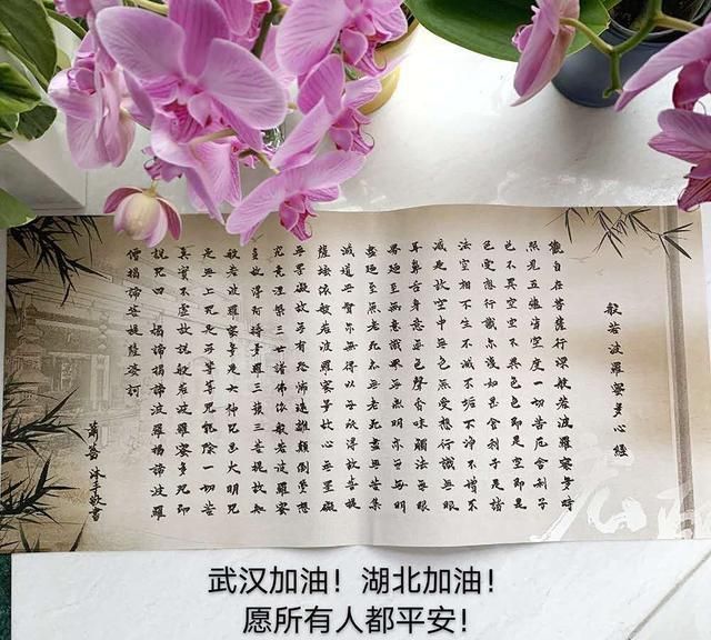 书法#萧蔷的手抄心经真不错,书法稳健秀丽,跟徐静蕾的作品一样好看