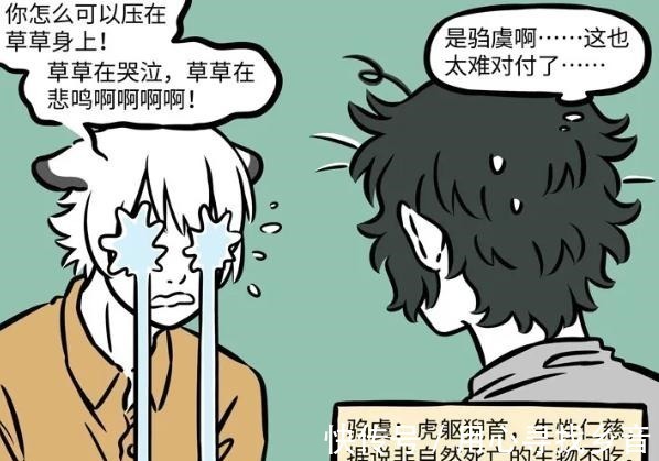 非人哉|非人哉白泽迎来新室友, 名字很多人不会念,第一眼以为是九月