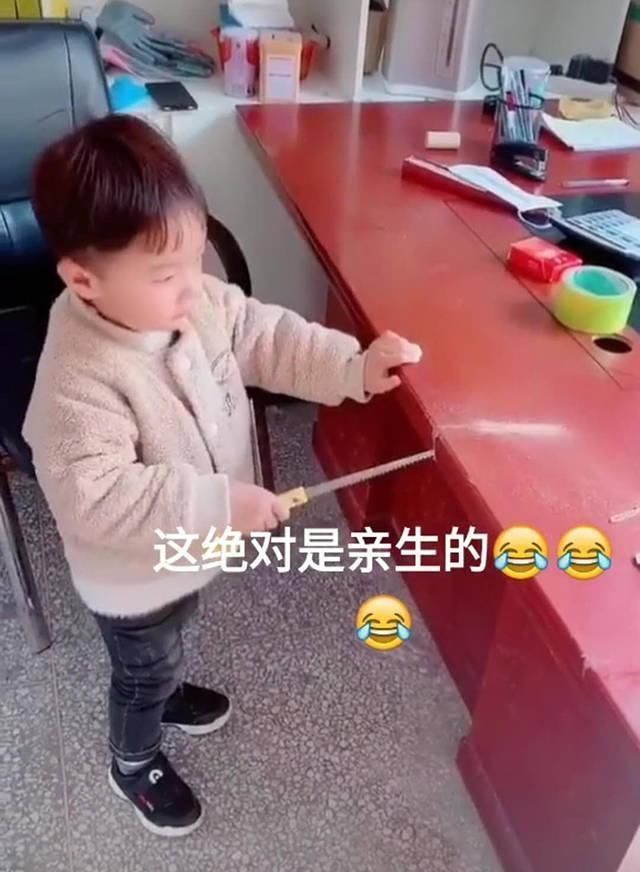 锯子|趁爸爸午睡,儿子给爸爸的书桌“开了刀”,爸爸感觉脖子凉飕飕的