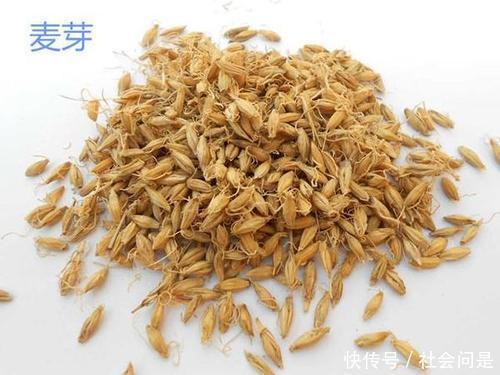 麦芽|一个“消食”的小方子化解肉食、面食、米食,让胃不撑、肚不胀