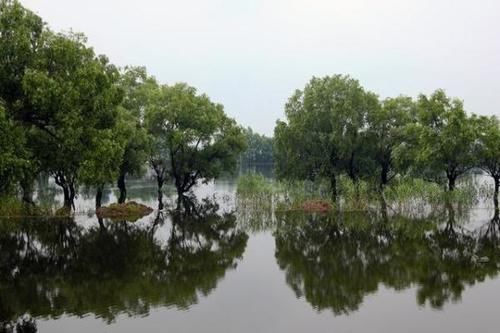 中年|湖南又一5A景区走红，与岳阳楼对望成“新地标”，距市区仅27公里