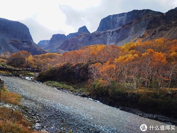 我的旅行|我的旅行 篇六：中秋的长白山，不仅有如镜般的天池，还有沉醉的秋景，五彩缤纷，如童话世界