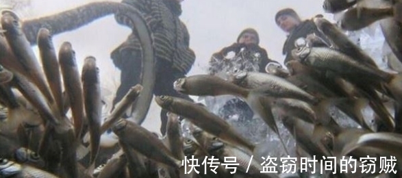 俄罗斯|冬季俄罗斯小哥在结冰湖面凿了个大洞，结果水面堆满了数千条鱼！