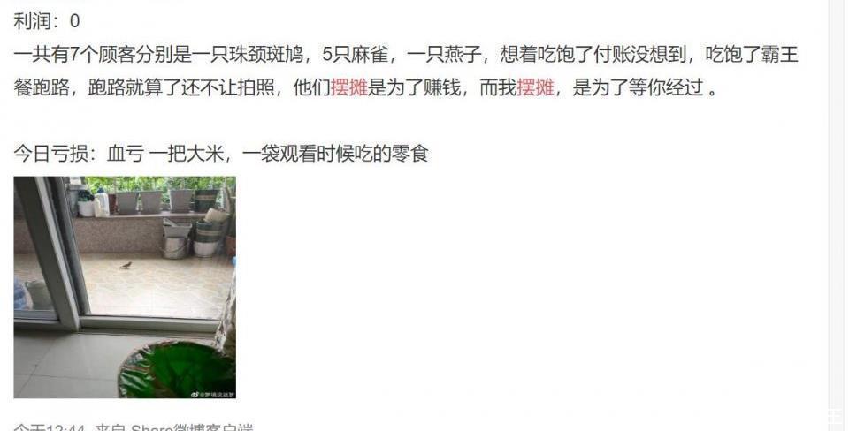 日记|“超火的摆摊日记来了”,这届网友都是天才,哈哈哈哈