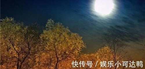 断云!诗词/七律《无题》