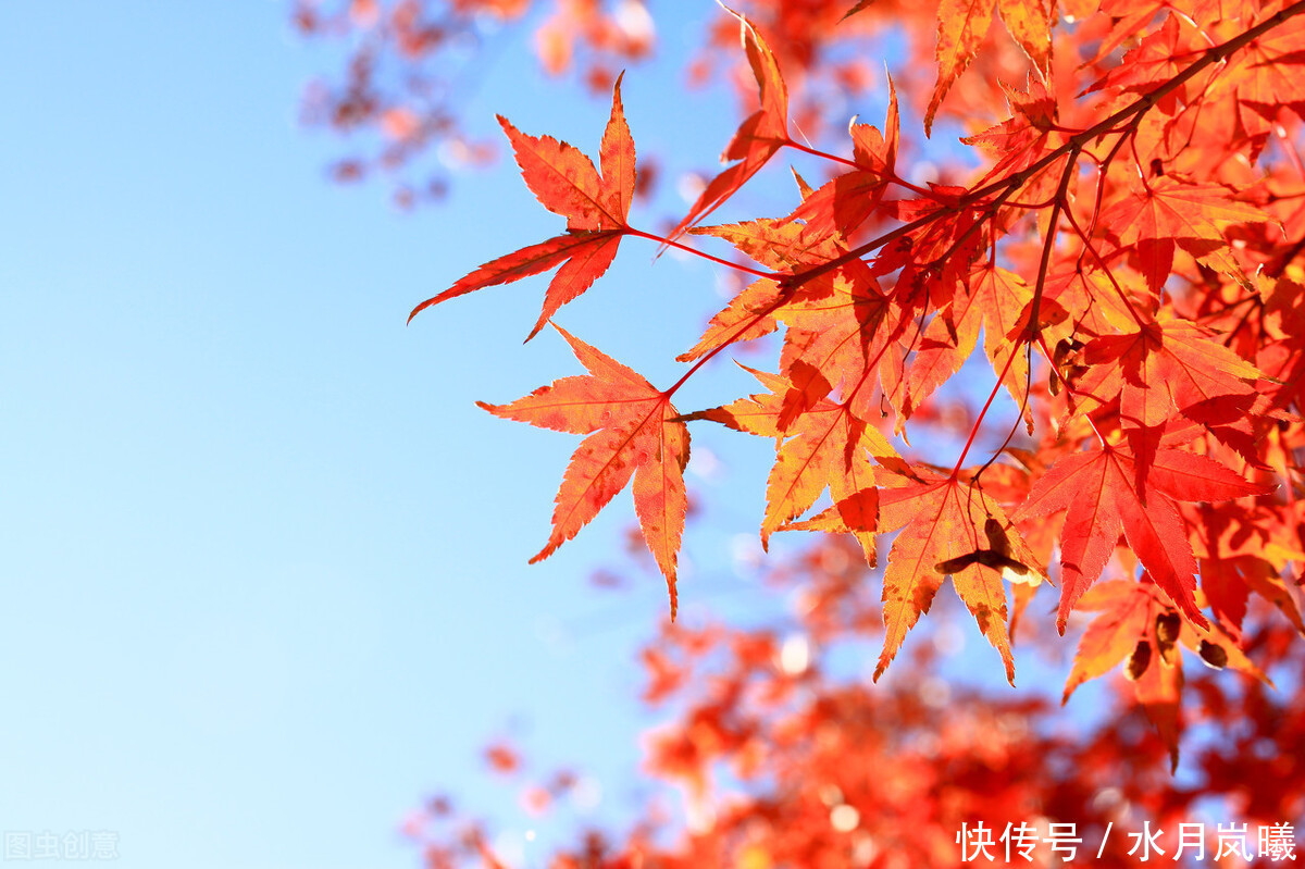 落叶空山，年华向晚，淡淡秋风微雨过，流光瘦减繁华