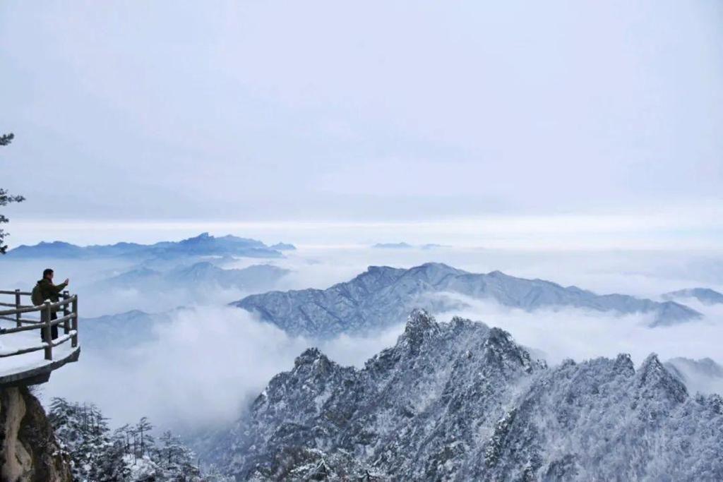 误入|点赞破百万的世界级雪景！雾凇云海，仿佛“误入天宫”！