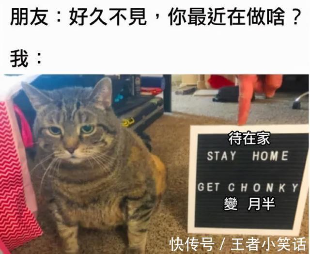 |「被窝段子0925」发脾气 只表示您的智慧不足以解决您所面临的问题