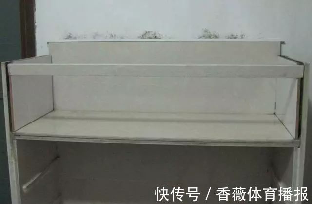 瓷砖|婆婆在客厅用瓷砖做了个鞋柜,完工后效果非常好,上门的人多