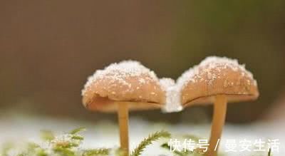 大马哈鱼|腰腹赘肉比胸高 多吃这几种食物, 排油去脂, 大肚腩悄悄不见了