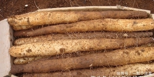 健康|十个人九个腰疼，此物煮来吃，腰不疼了，腿不酸了，早知早健康