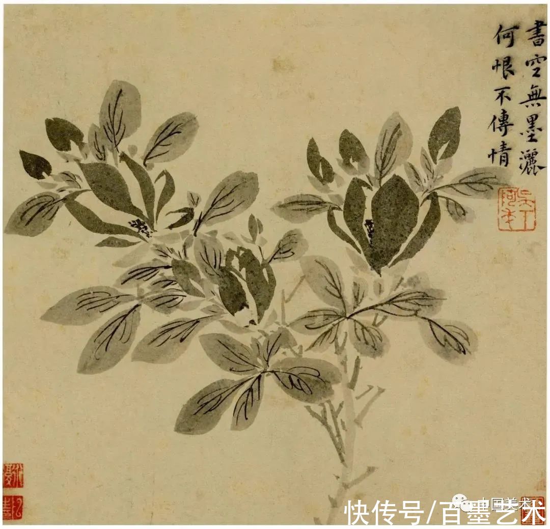 明朝@青藤白阳：明朝花鸟两大高峰