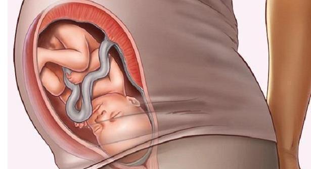 产检|想知道顺产需要多长时间产检B超上的3项数据告诉你答案