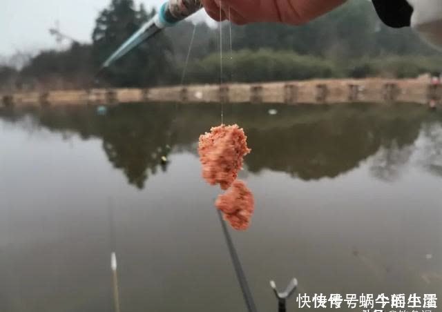 鱼竿|别拿野钓装备去玩黑坑,新手入坑须知:先得把这些渔具买齐了