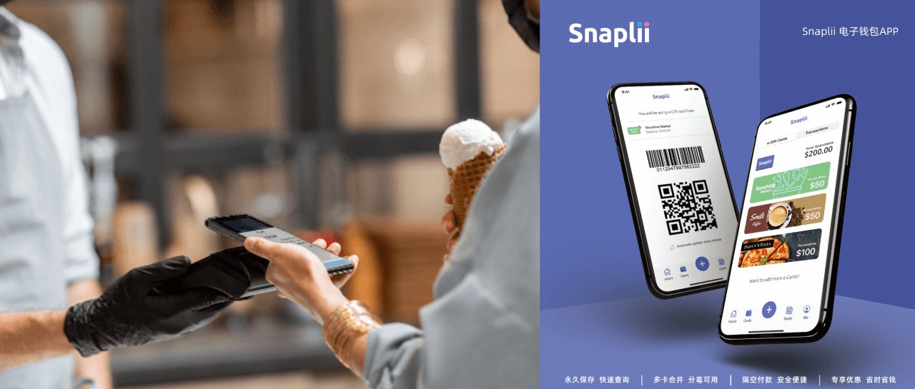 n独家首发丨北美移动支付电子钱包「Snaplii」，完成Pre-A融资，超额募资150%