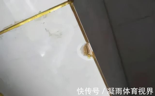 哑光|瓷砖美缝我有话要说,一篇经验帖放这,你家就别再交智商税了