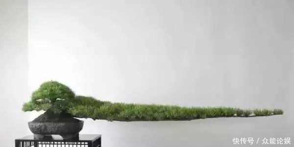 也许你不需要一个庭院就能有一个园林