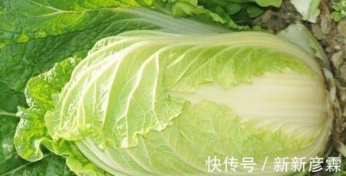 柑橘|便秘拉不出来太难受?试试多吃6种食物,润肠通便,排便变顺畅