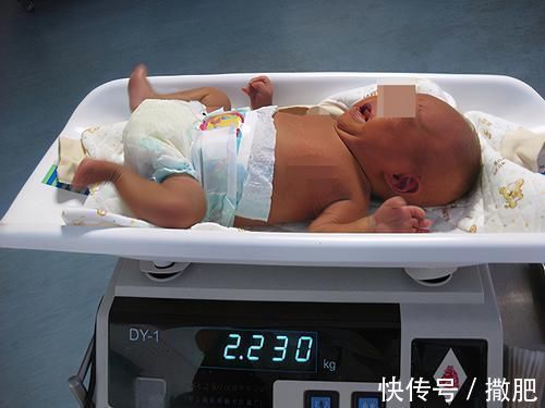 体重|新生儿体重越高越好?错!在这个体重范围内,才说明发育正常