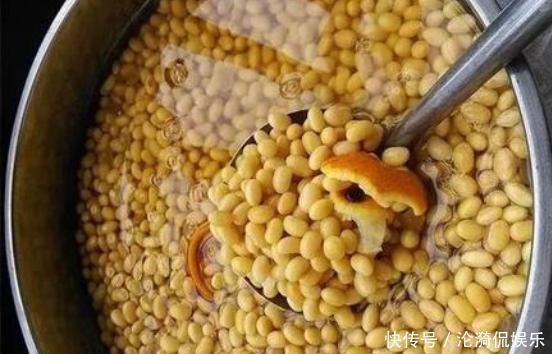 废油|养君子兰,盆边埋上几粒“豆”,比啥“废油”都靠谱,叶肥根系壮