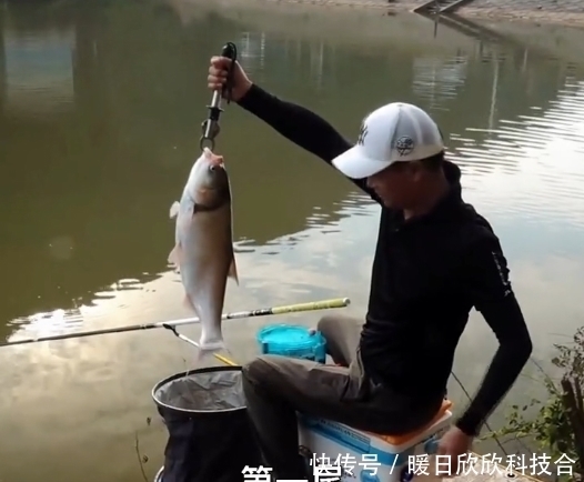 邓刚|邓刚到长沙钓鲢鳙,看上了老板养的小土狗,400钓6小时,差点滑了