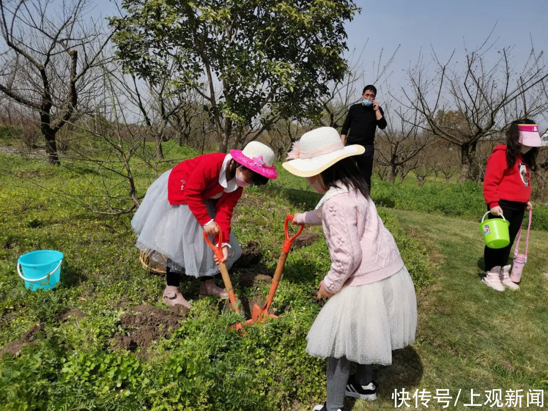 白云寺|美极了！在金山这里种下你的“春天”