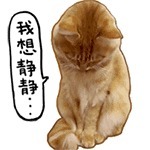 |绝版笑话大全!笑破你的肚子,后果自负!