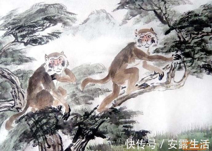 男人|这3大生肖女,命里有财,旺夫一流,男人娶了她们,想不发财都难