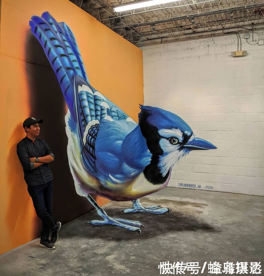 街头艺术|墨西哥版“神笔马良”!考古学家变3D画家,这些街头涂鸦帅爆了