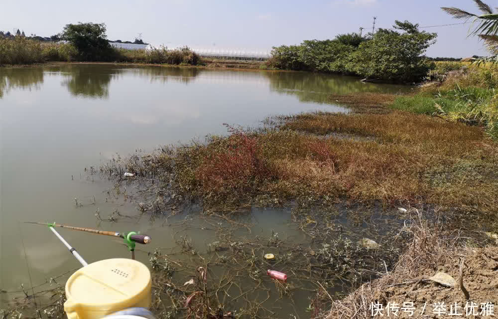 春分前后鱼最好钓,能做到这些要点,收获还能翻个倍!