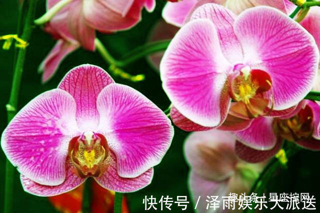 享福|孩子出生在几点钟,就像来报恩,从小到大让父母少操心多享福