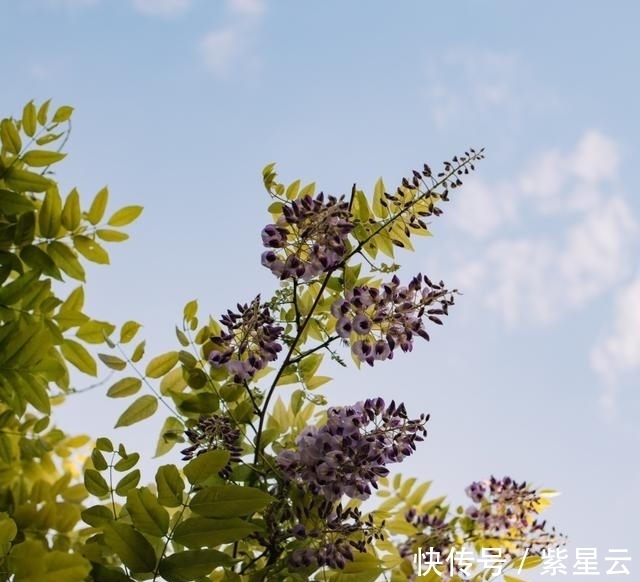 喜事|一周过后，蜜意浓情，一生沦陷，兜兜转转，和好如初，喜事一连串