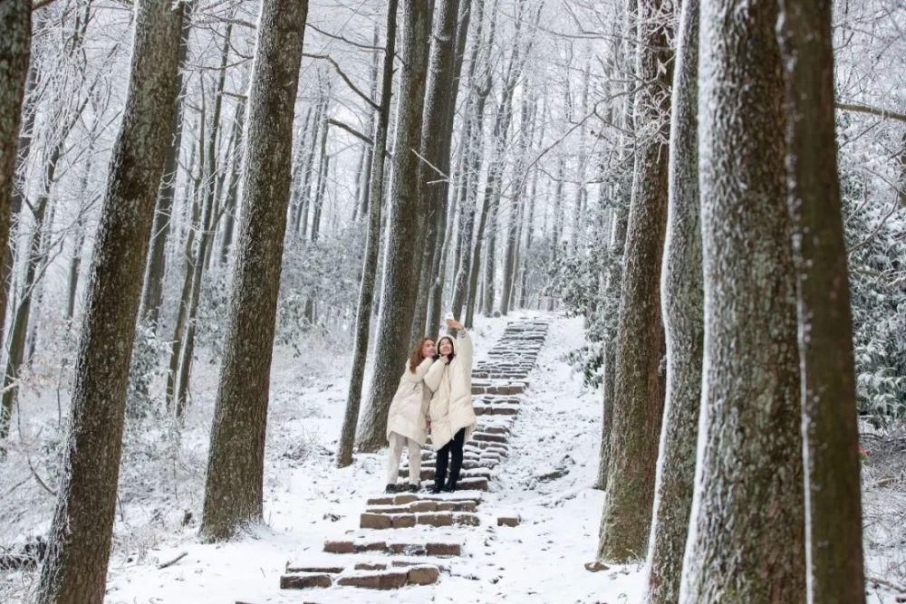 邂逅|来莫干山，邂逅一场冰雪奇缘吧！