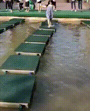 |搞笑动图:没有犁坏的地,只有累死的牛!