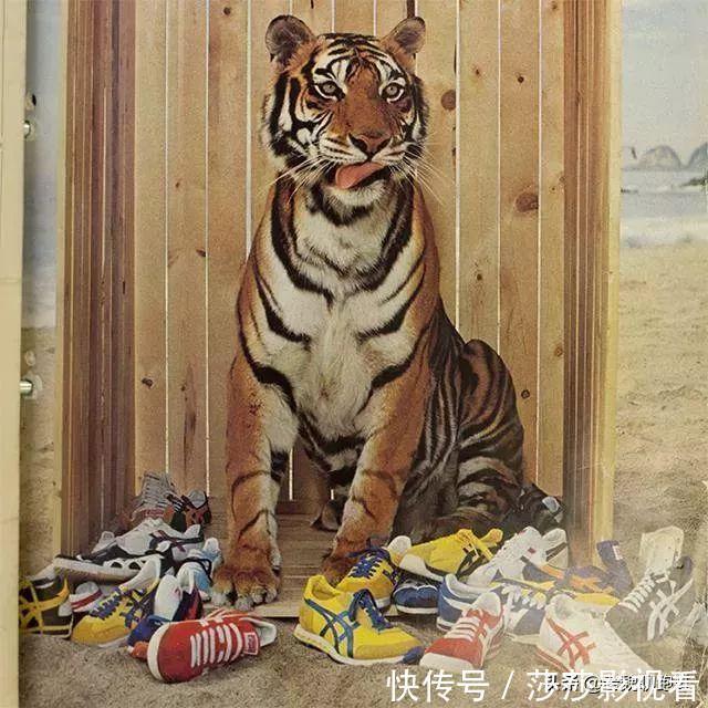 售价|它是耐克的前辈、亚瑟士的父亲，转型做复古休闲鞋售价不到500