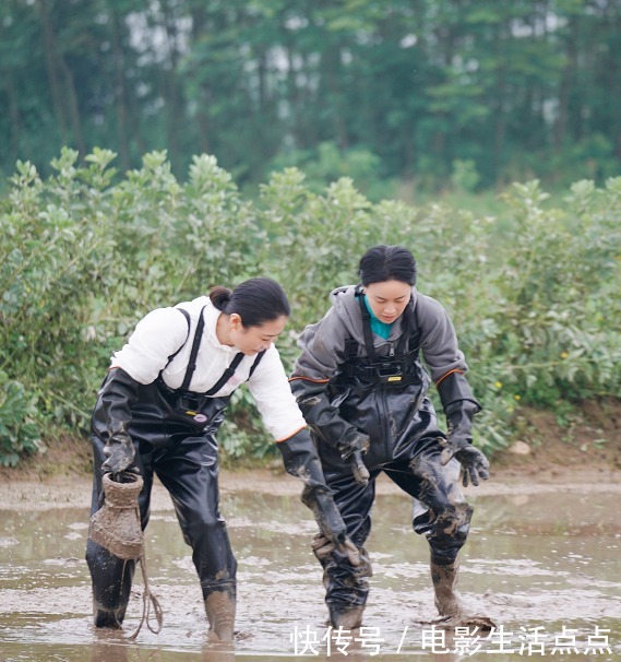 萌探|真爽的那英，为何在《萌探》被吐槽，在《向往的生活》圈粉无数？