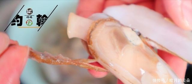 12块钱买500克蛏子,简单一蒸5分钟就上桌,肉质鲜美,吃着很过瘾