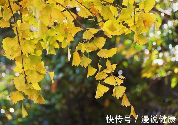 中老年人|霜降不准备,冬天很受罪?避免中风来败兴,中老年人做好这5件事