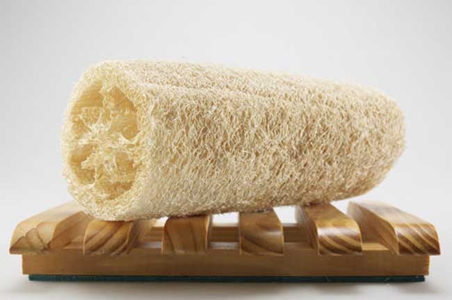 丝瓜络|女性到了更年期，可以经常用它泡水喝，缓解脾气，预防乳腺增生