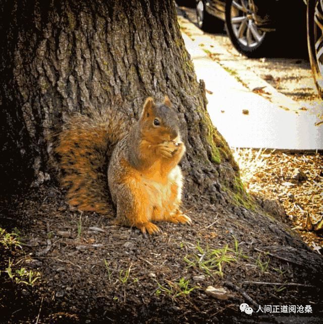 血管堵塞|65岁后的老人,选择静养好还是运动好这12种人最长寿,有你吗