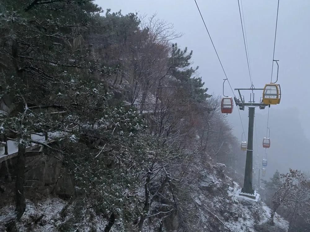  临沂|下雪了！下雪了！临沂今冬第一场雪来了