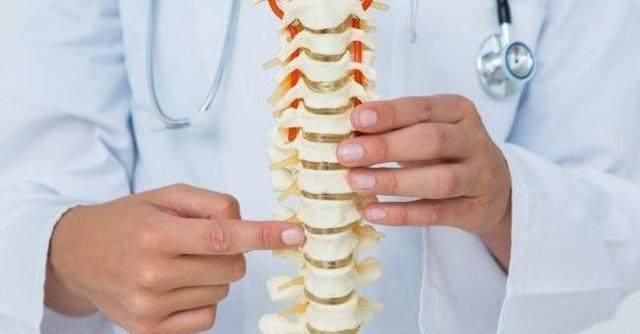 含钙|豆浆、奶粉、酸奶和牛奶,谁的补钙效果更好?用实验数据告诉你