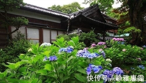 诗人@一个二流的诗人,却写出了超过一流的作品,入选《唐诗三百首》