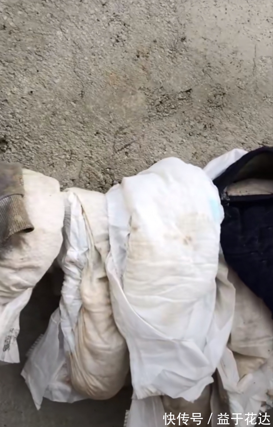 孩子们|怀第五胎的单亲妈妈,无力照顾其他4个娃,孩子饿了吃土豆蘸辣椒