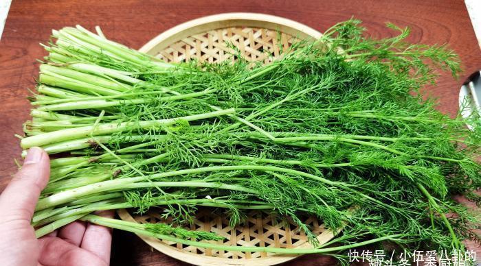 冬天,吃萝卜白菜,不如吃此菜,鲜嫩美味营养高,女性朋友要多吃