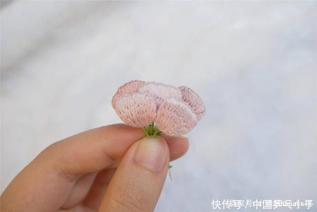 母亲节送给母亲的花朵,应让它从我们的手中盛开,康乃馨花朵教程